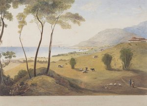 Lyssons Estate, 东部圣托马斯, 牙买加 作者 詹姆斯·哈克威尔