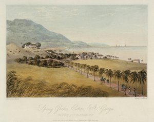 圣乔治（加勒比海）的 Spring Garden 地产，由 I R Grosett Esquire 所有。彩色蚀刻版画，4 月 1 日 作者 詹姆斯·哈克威尔