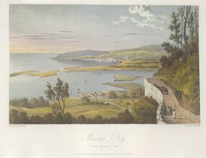 从雷丁山俯瞰蒙特哥湾，选自伦敦《牙买加岛风景如画之旅》的插图