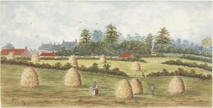来自Meadowell农场的Chirton（纸上水彩和身体颜色）