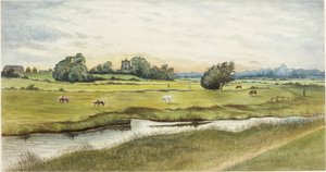 Ryton Meadows（纸上水彩和身体彩色）