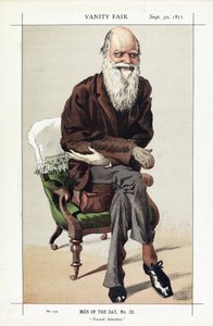 查尔斯·达尔文，“自然选择”第33期，来自名利场，酒吧。 1871年 作者 詹姆斯·雅克·约瑟夫·天梭