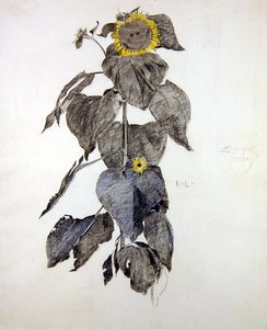 向日葵（木炭和水彩画在纸上）