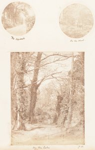 走近，在森林里，在湖边，1853-56年。 作者 詹姆斯·奈特