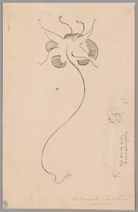 蝴蝶（正面）；蝴蝶研究（背面） 作者 詹姆斯·麦克尼尔·惠斯勒