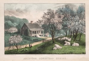 美国宅基，1869年春天。
