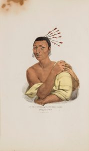 AT-TE-CONSE 或年轻的缰鹿；一位奇佩韦酋长，选自《原住民作品集 作者 詹姆斯·奥托·刘易斯