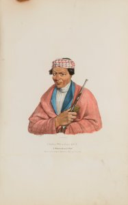 CAN-NO-SA-QUA；Pottowattomie 酋长，选自原住民作品集 作者 詹姆斯·奥托·刘易斯