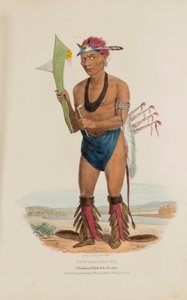 CUT-TAA-TAS-TIA；福克斯部落的著名酋长，摘自《原住民作品集 作者 詹姆斯·奥托·刘易斯