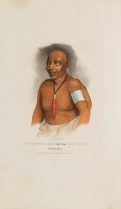 MA-CHE-KA-KAT，即 "坏鹰"；莫诺蒙尼酋长，摘自《原住民作品集 作者 詹姆斯·奥托·刘易斯