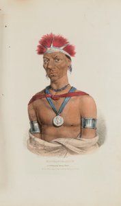 MAUCK-COOMAUN；一位著名的 Ioway 酋长，摘自《原住民作品集 作者 詹姆斯·奥托·刘易斯