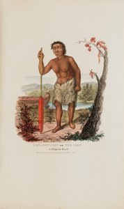 MEN-DOW-MIN 或玉米；一个奇佩瓦矮人，选自《原住民作品集 作者 詹姆斯·奥托·刘易斯