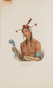 O-CHE-NA-SHINK-KAD，或 "站着罢工的人"；一位温尼贝戈酋长，选自《原住民作品集》。 作者 詹姆斯·奥托·刘易斯