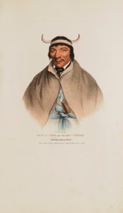 SUN-A-GET or Hard Times; A Pottawatomie Chief，摘自《原住民作品集 作者 詹姆斯·奥托·刘易斯