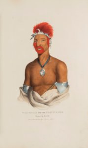 WAA-PA-LAA 或 "会玩的狐狸"；狐狸部落王子，选自《原住民作品集 作者 詹姆斯·奥托·刘易斯