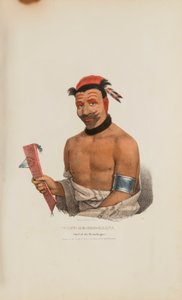 WADT-HE-DOO-KAANA；温尼巴格人酋长，摘自《原住民作品集 作者 詹姆斯·奥托·刘易斯