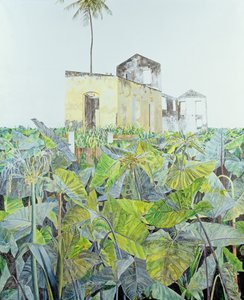 废墟在海地沼泽，1971年