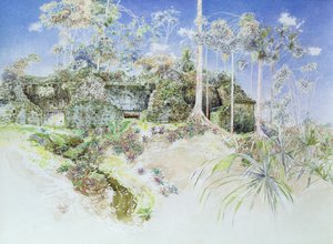 危地马拉蒂卡尔，Ruined Temple，1984年（纸上写着）