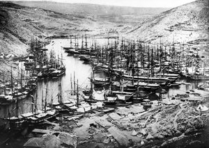 在克里米亚战争期间的Balaklava港口，c.1855