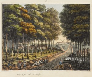 Forem de Soignes的边缘，来自&39;滑铁卢战役的历史记录&39;，1817年（彩色aquatint）