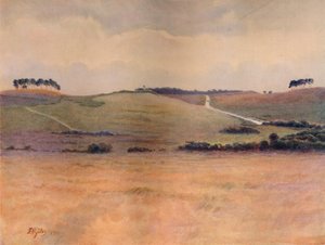 Chobham Common》，1911年，1914年 作者 詹姆斯·S·奥格威