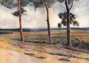 斯坦普尔山的风景》，1911年，1914年 作者 詹姆斯·S·奥格威