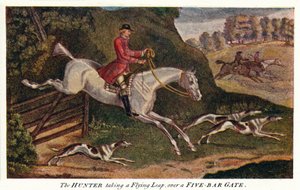 亨特（HUNTER）在五杆门上飞跃，1922年，c1740 作者 詹姆斯·西摩