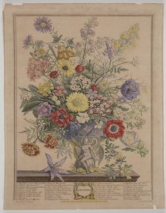 1730 年 11 月 作者 詹姆斯·史密斯