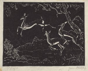 飞行（木刻版画） 作者 詹姆斯·里德