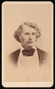 查尔斯-萨姆纳的肖像，1811-1874年，1874年之前。