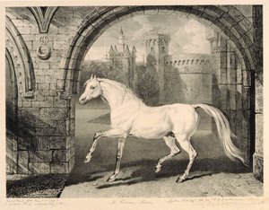 波斯马，来自&39;Celebrated Horses&39;，由艺术家1823-24发表的14件赛车版画