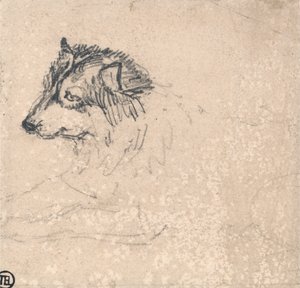 北极犬，面向左侧 作者 詹姆斯·沃德