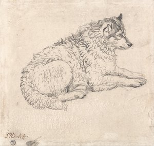 北极犬，面向右侧 作者 詹姆斯·沃德