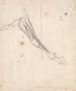 马的前腿-可能是泰特美术馆（Tate Gallery）的一项关于L&39;Amour de Cheval的研究，日期为1827年 作者 詹姆斯·沃德