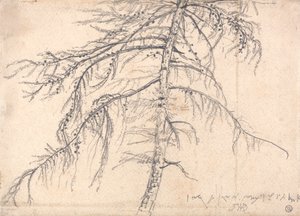 落叶松 作者 詹姆斯·沃德