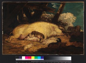 猪，1793年之前 作者 詹姆斯·沃德