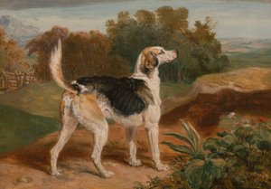 掠夺者，兰姆顿猎犬之一 作者 詹姆斯·沃德