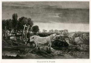 摄政公园，伦敦;画1807 作者 詹姆斯·沃德