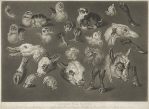 自然研究，1807年 作者 詹姆斯·沃德