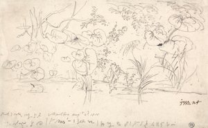 植物研究》，1815 年 8 月 2 日 作者 詹姆斯·沃德