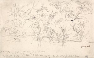 植物研究》，1815 年 8 月 2 日 作者 詹姆斯·沃德