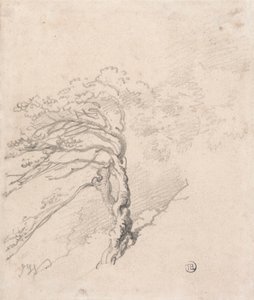 山坡上的树 作者 詹姆斯·沃德