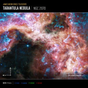 30 剑鱼（超越指南针图像） 作者 詹姆斯韦伯太空望远镜 (NASA)