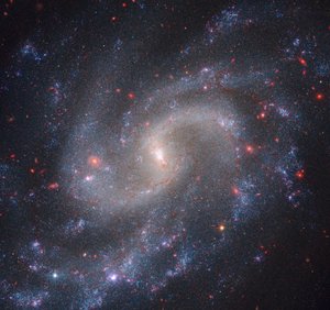 NGC 5584（Webb NIRCam + Hubble WFC3）