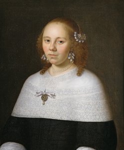 1658年来自霍伦的一名年轻女子的画像