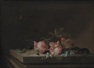 鲜花 作者 Jan Baptist van Fornenburgh