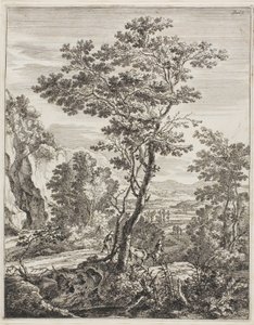 大树，选自《直立的意大利风景》（Upright Italian Landscapes 作者 扬·博特
