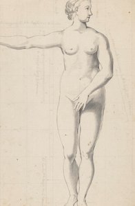 男女裸体研究