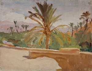 Biskra（棕榈树绿洲）