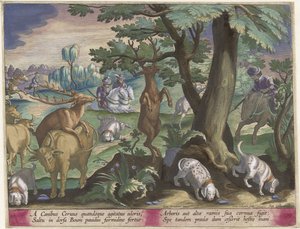 带狗猎鹿
狩猎场景（系列标题）
Venationes Ferarum, auium, piscium pvgnae Bestiariorum（系列标题） 作者 乔安妮斯·加勒
